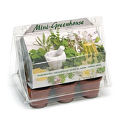 Wyss Garten Mini-Gewächshaus Kräuter-Set (1 Stk)