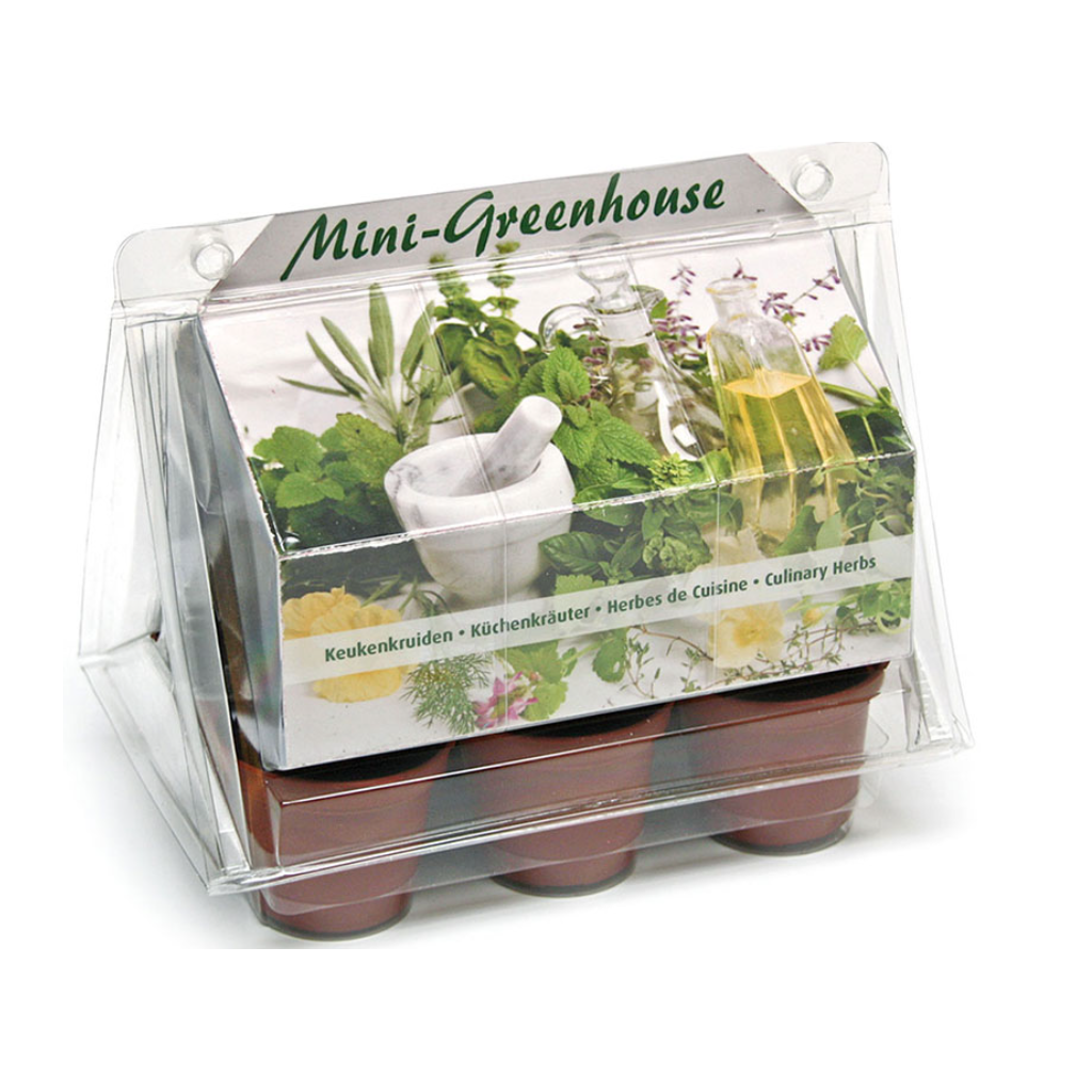Wyss Garten Mini-Gewächshaus Kräuter-Set (1 Stk)