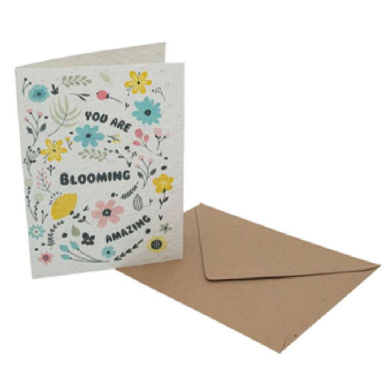 Wyss Garten Postkarte aus Samenpapier, Blooming (1 Stk)