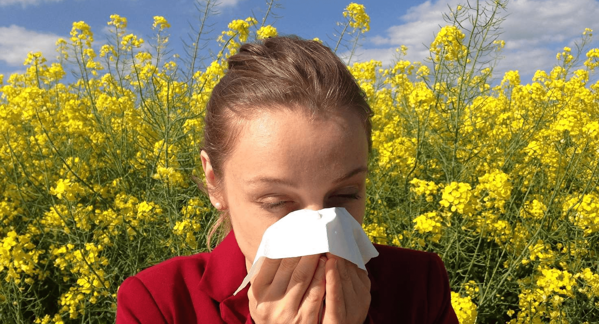 Pollenallergie kanela