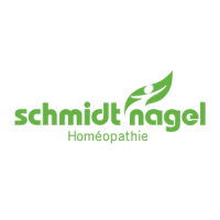 Schmidt-Nagel