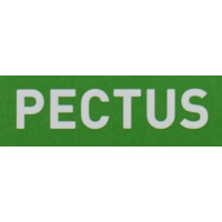 PECTUS