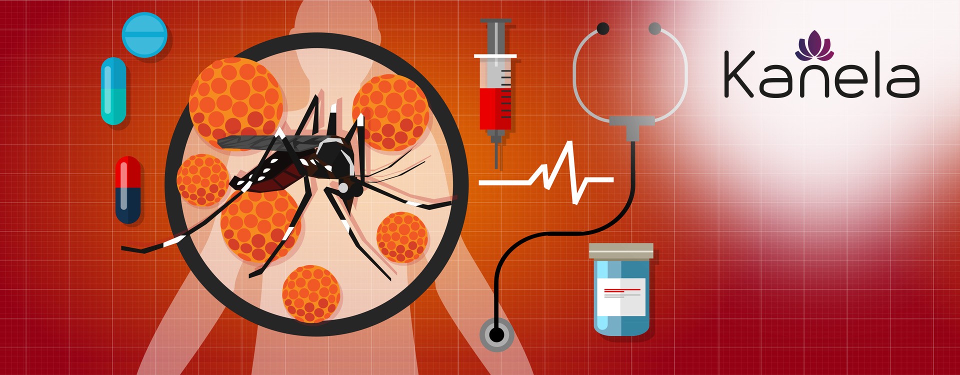 Quelles maladies les moustiques transmettent-ils ?