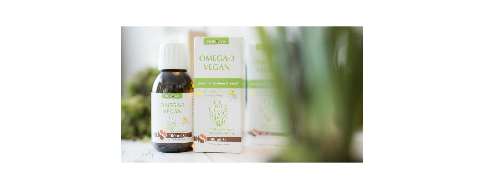 Norsan Algenöl Omega-3 – vegan, gesund, natürlich | Norsan