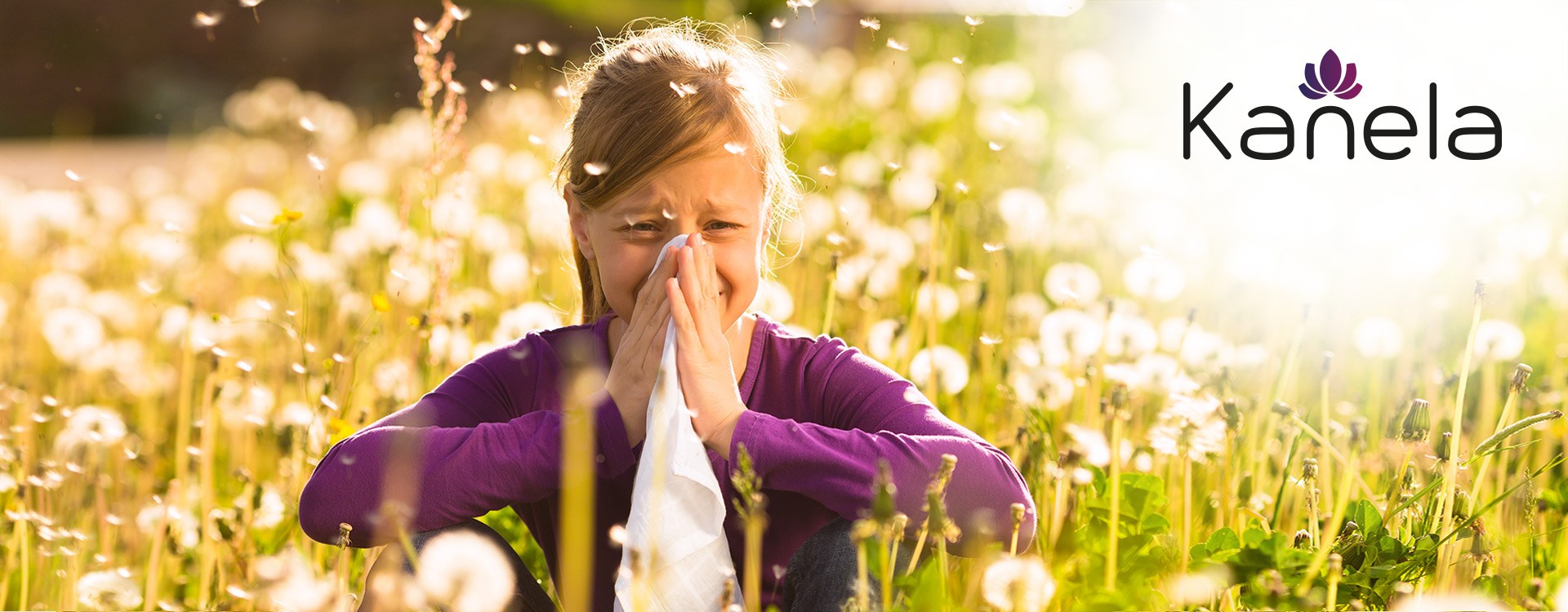 Pollenallergie und Heuschnupfen - was hilft?