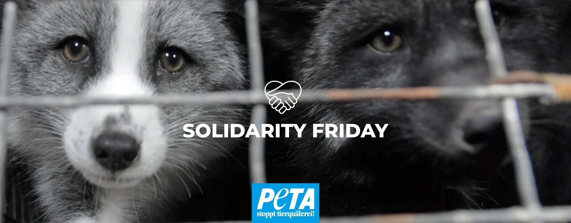 Solidarity Friday au lieu du Black Friday : Kanela soutient PETA Suisse