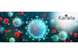 Bactéries et virus : similitudes et différences