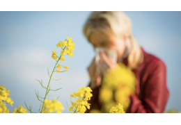 Pollenallergie: was tun? | Kanela