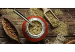 Mate Tee Getränk – die Essenz Südamerikas | Kanela