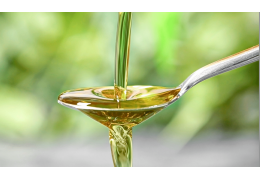Algenöl: Die Wunder der kleinen Kapseln | Kanela