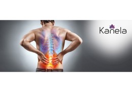 What can be done against back pain?