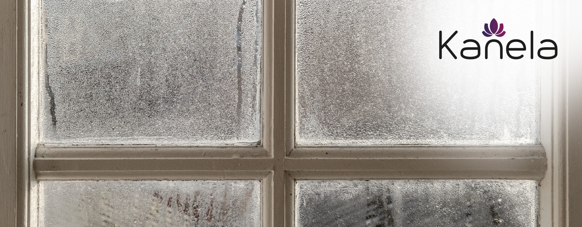 How often should you clean the windows?